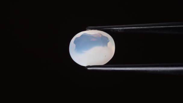 Naturalny Opal Gemstone Pęsetę Tle — Wideo stockowe