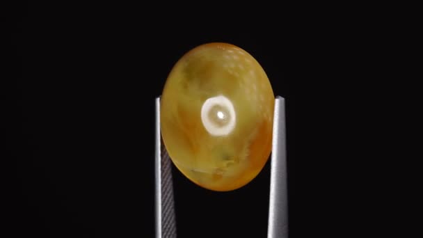 Natürlicher Opaler Edelstein Der Pinzette Auf Dem Hintergrund — Stockvideo
