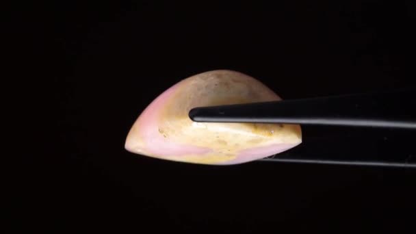 Φυσικό Ροζ Opal Πολύτιμος Λίθος Στο Tweezer Στο Παρασκήνιο — Αρχείο Βίντεο
