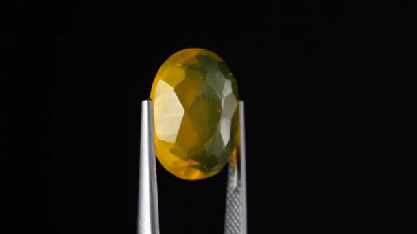 Naturlig Gul Brand Opal Ädelsten Pincetten Bakgrunden — Stockvideo