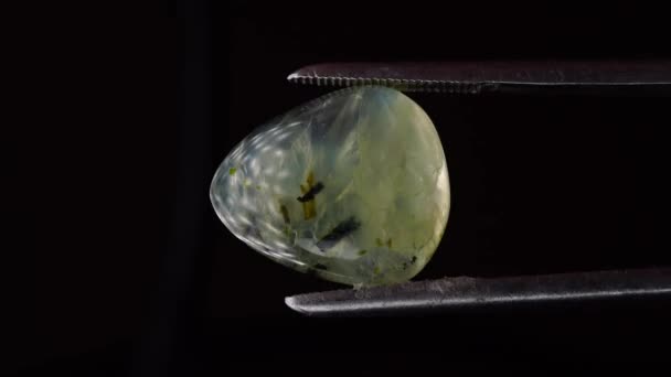 Pietra Preziosa Verde Naturale Prehnite Nella Pinzetta Sullo Sfondo — Video Stock