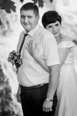 Şelalenin arka planında yeni evliler