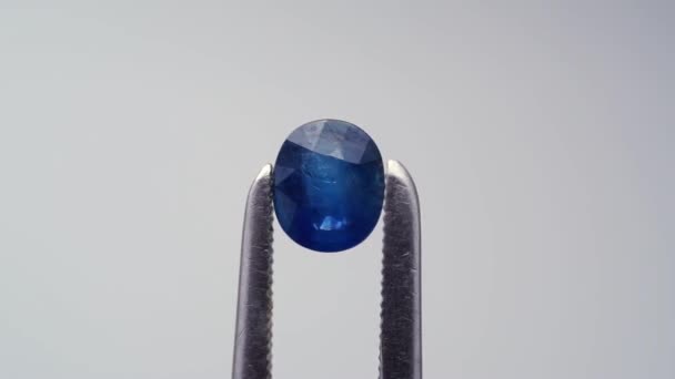 Piedra Preciosa Zafiro Azul Natural Mesa Giratoria — Vídeos de Stock
