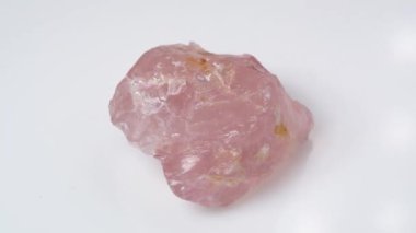 rare ocean fish swimming in the blue water