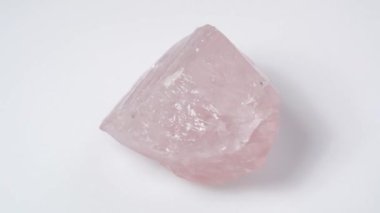 rare ocean fish swimming in the blue water