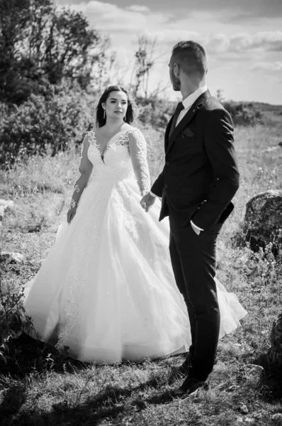 Nygifta Kramar Bakgrunden Stenar — Stockfoto