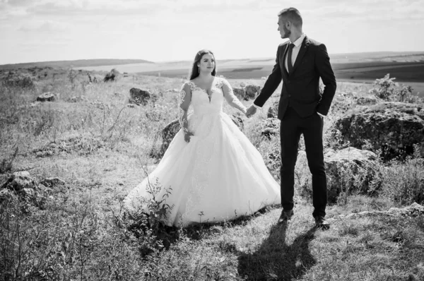 Recién Casados Abrazándose Fondo Las Rocas —  Fotos de Stock