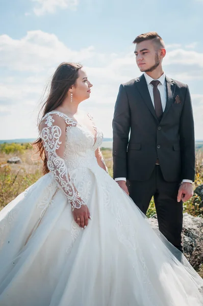 Recién Casados Abrazándose Fondo Las Rocas —  Fotos de Stock