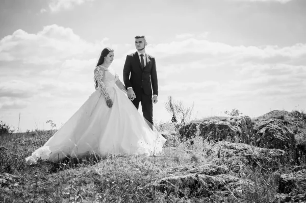 Recién casados abrazan en el fondo de las rocas y un hermoso paisaje —  Fotos de Stock