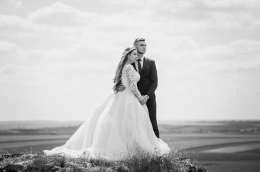 Yeni evliler güzel bir manzaranın arka planında sarılırlar.