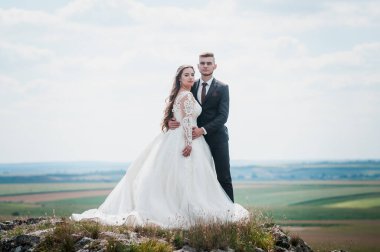 Yeni evliler güzel bir manzaranın arka planında sarılırlar.