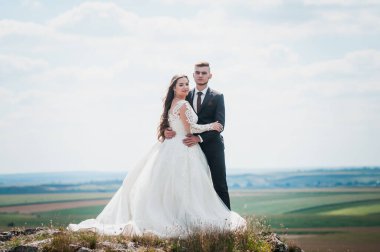 Yeni evliler güzel bir manzaranın arka planında sarılırlar.