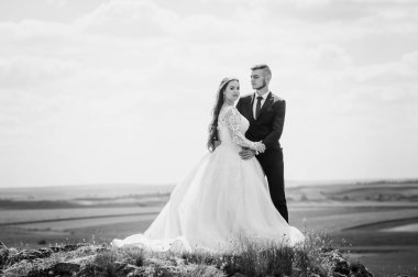 Yeni evliler güzel bir manzaranın arka planında sarılırlar.