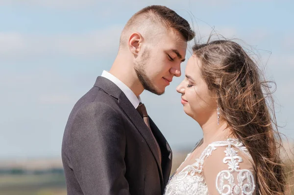 Recém Casados Abraço Fundo Uma Bela Paisagem — Fotografia de Stock