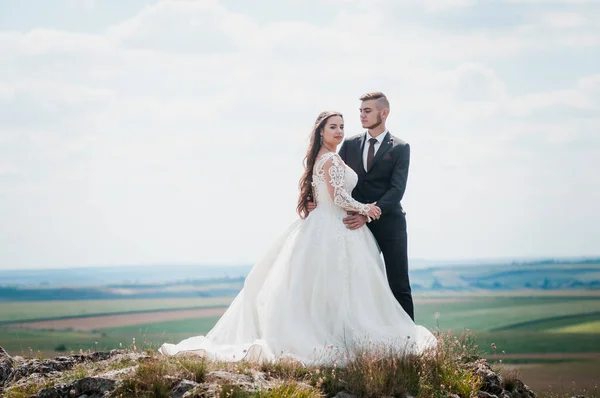 Frischvermählte Umarmen Sich Vor Dem Hintergrund Einer Wunderschönen Landschaft — Stockfoto