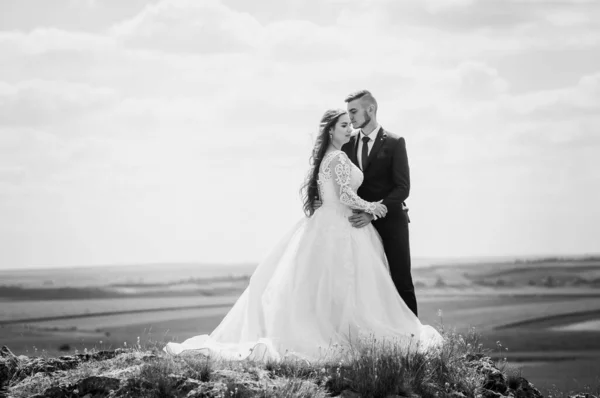 Pasgetrouwden Knuffelen Achtergrond Van Een Prachtig Landschap — Stockfoto