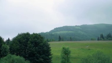 Yeşil Karpat Dağları ve Ağaçlar Günü manzarası