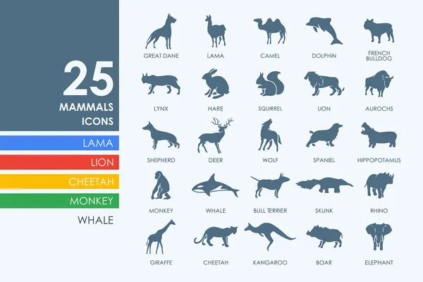 Set van zoogdieren pictogrammen — Stockvector