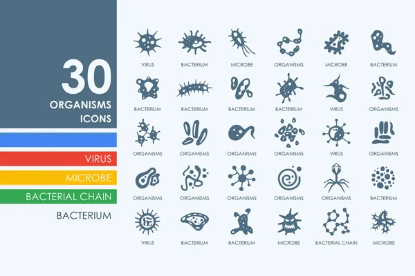 Set van organismen pictogrammen — Stockvector