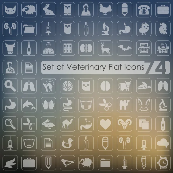 Conjunto de iconos veterinarios — Archivo Imágenes Vectoriales