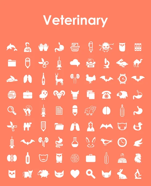 Aantal veterinaire eenvoudige pictogrammen — Stockvector