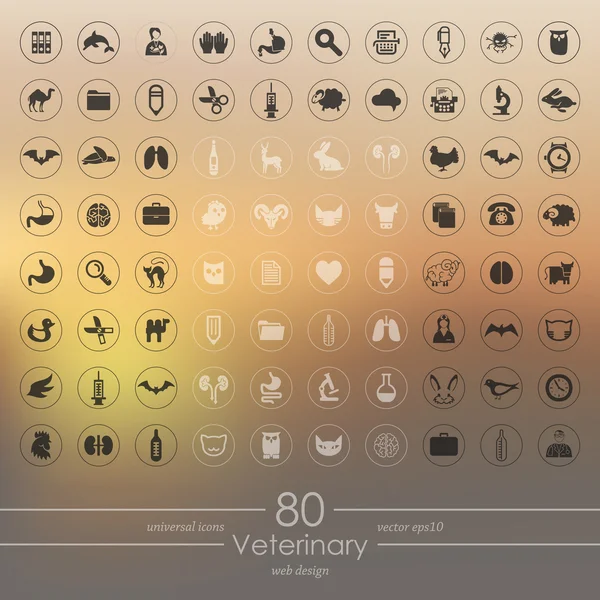 Av veterinära ikoner — Stock vektor