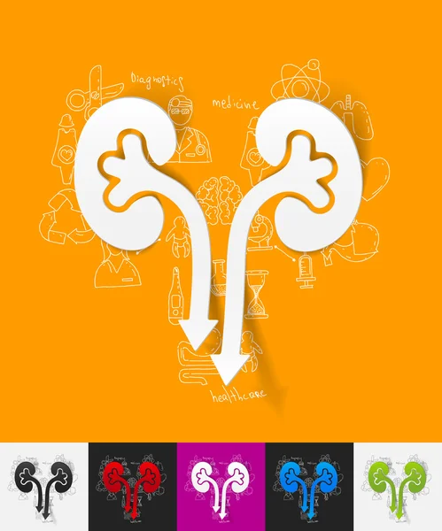 Kidneys paper sticker — Stock Vector