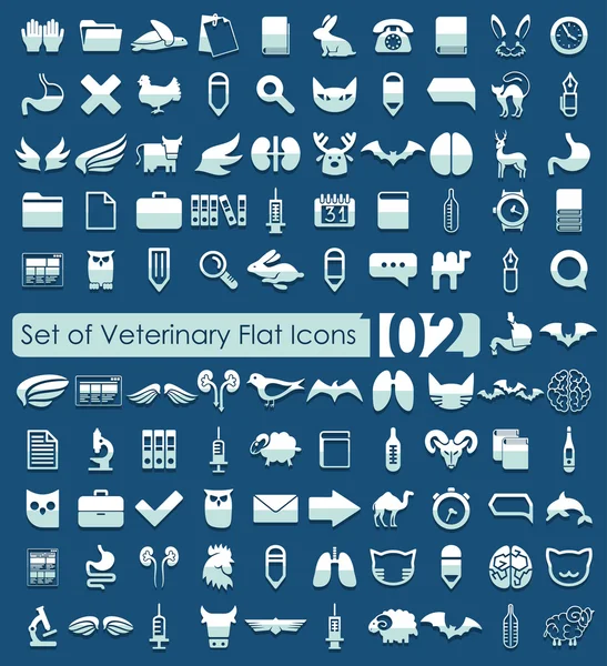 Sada ikon, veterinární — Stockový vektor