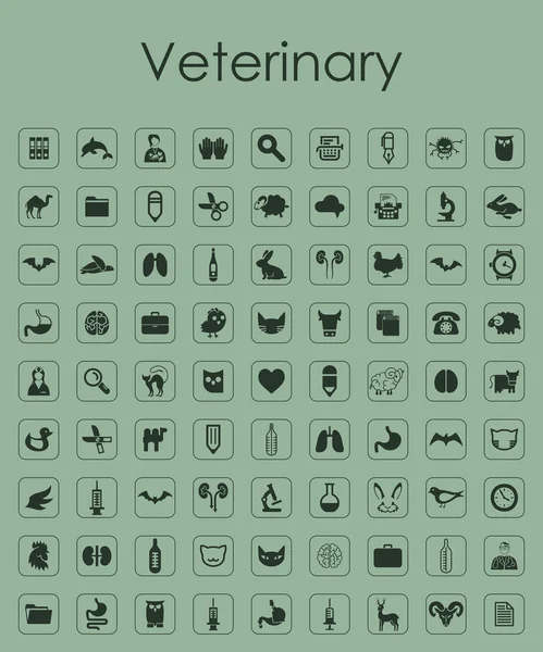 Conjunto de ícones veterinários —  Vetores de Stock