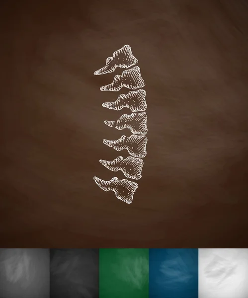 Ilustração ícone da coluna vertebral — Vetor de Stock