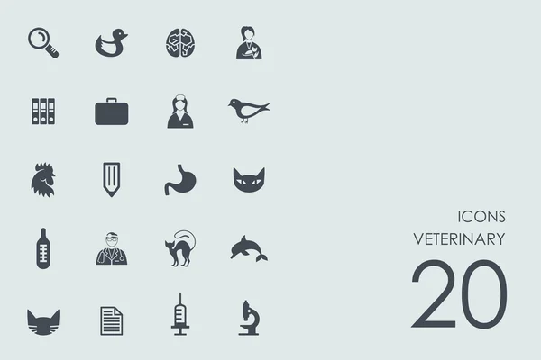 Conjunto de ícones veterinários —  Vetores de Stock