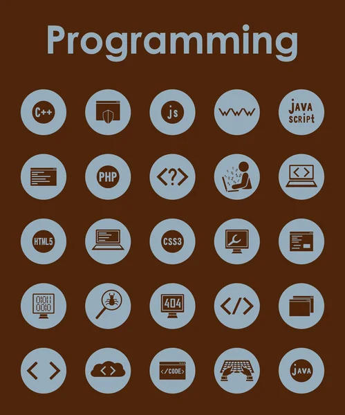 Set van de eenvoudige pictogrammen programmering — Stockvector
