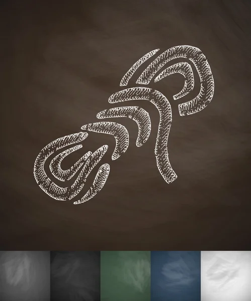 Icône corde dessinée à la main — Image vectorielle