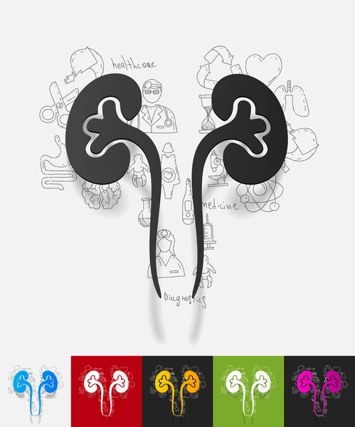 Kidneys paper sticker — Stock Vector