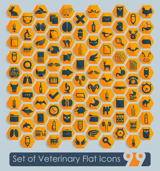 Conjunto de iconos veterinarios — Vector de stock