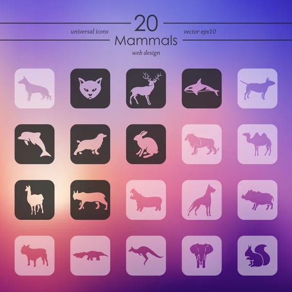 Set of mammals icons — Stock Vector