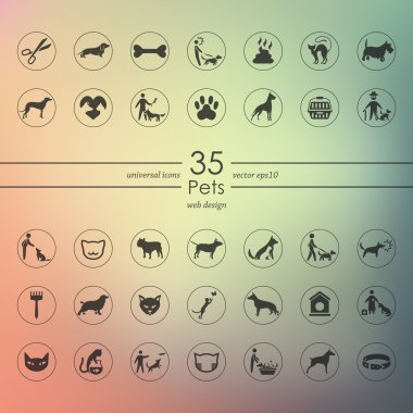 Evcil hayvan simge kümesi