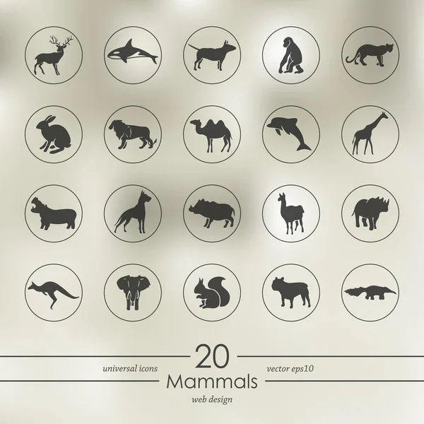 Set van zoogdieren pictogrammen — Stockvector