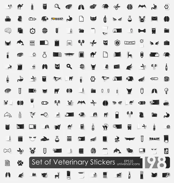 Sada nálepek veterinární — Stockový vektor