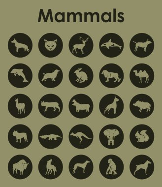 Memeliler basit simgeler kümesi