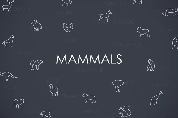 Иконы тонкой линии млекопитающих — стоковый вектор