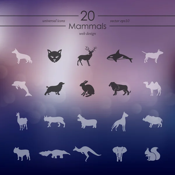 Set of mammals icons — Stock Vector