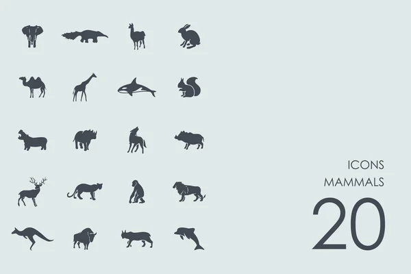 Az emlősök ikonok — Stock Vector