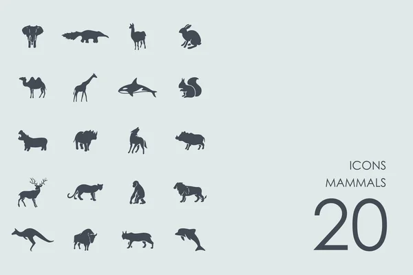 Set van zoogdieren pictogrammen — Stockvector