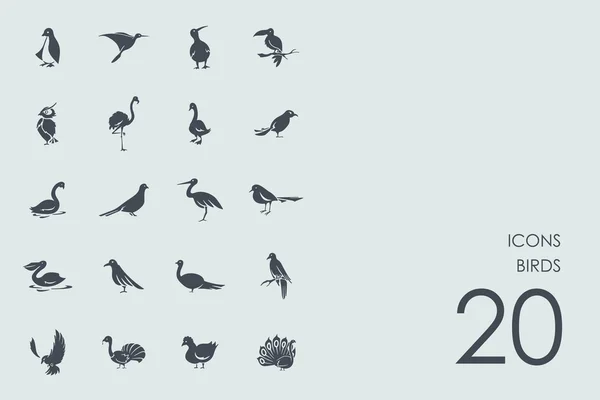 Conjunto de iconos de aves — Archivo Imágenes Vectoriales