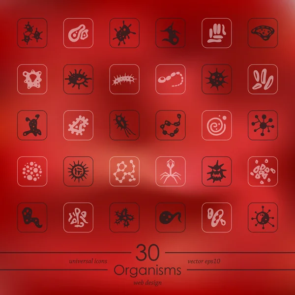 Set of organisms icons — Stock Vector