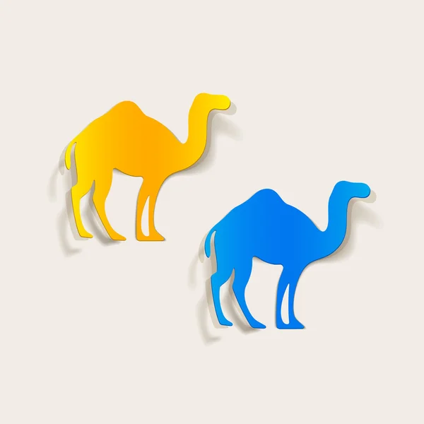 Kamel realistiska inslag — Stock vektor