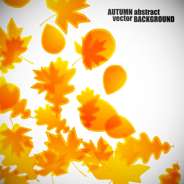 Autumn leaves background — Stock Vector