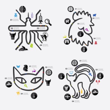 veteriner Infographic