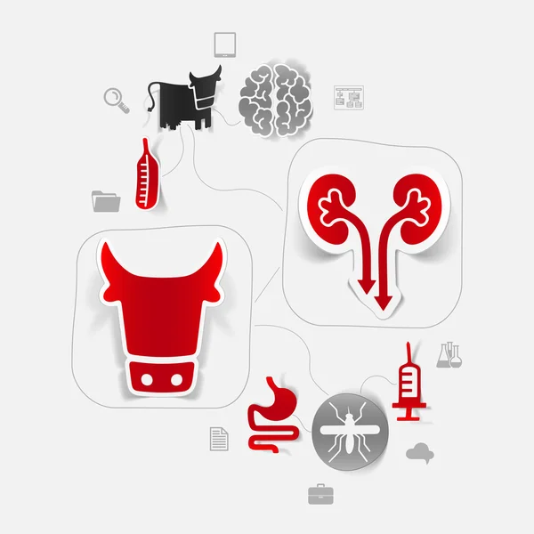 Infográfico de etiqueta veterinária —  Vetores de Stock